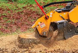 Best Tree Removal  in Santa Clarita, CA